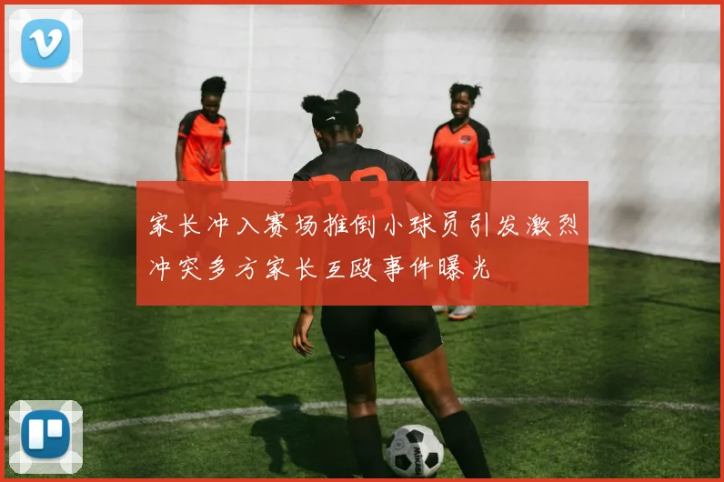 家长冲入赛场推倒小球员引发激烈冲突多方家长互殴事件曝光