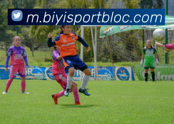 必一体育发展历程