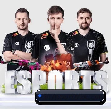 必一体育 APP（BSports）